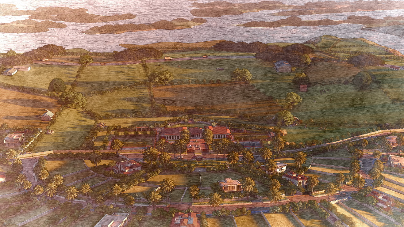 Dusk View